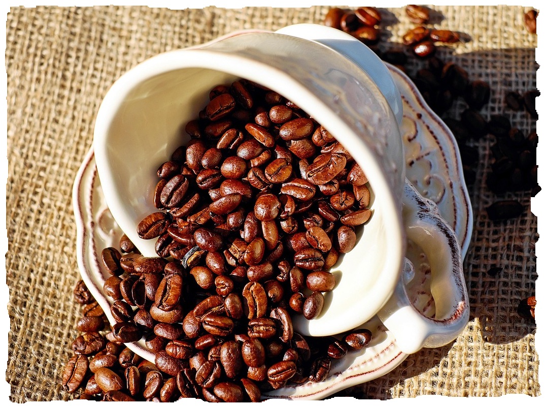 a cup of fresh coffee beans