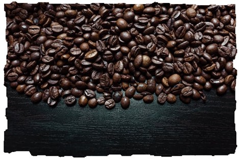 Pile of organic coffee beans, highlighting purity and natural growth