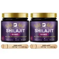 Shilajit en résine pure de l'Himalaya