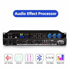 KX280 digital audio voice processor reverb sound