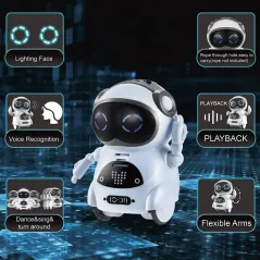 Children's Robot Can talk Interactive Dialogue Voice Recognition