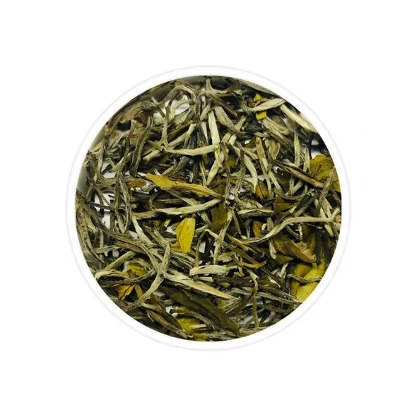 Chabessey Silvery Elegance
