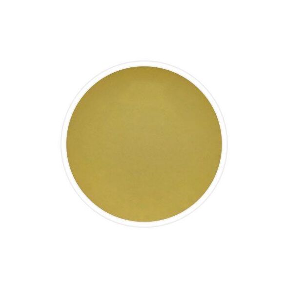 Chabessey Silvery Elegance