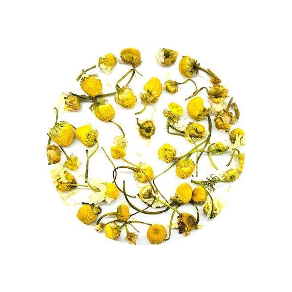 Chamomile Serenity