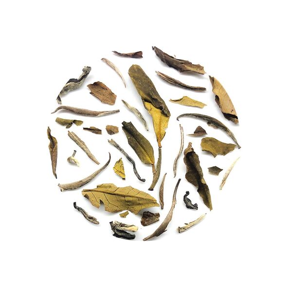 Ekta Imperial Gold