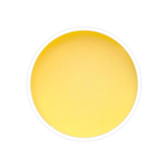 Regal Kashmiri Chai Blend