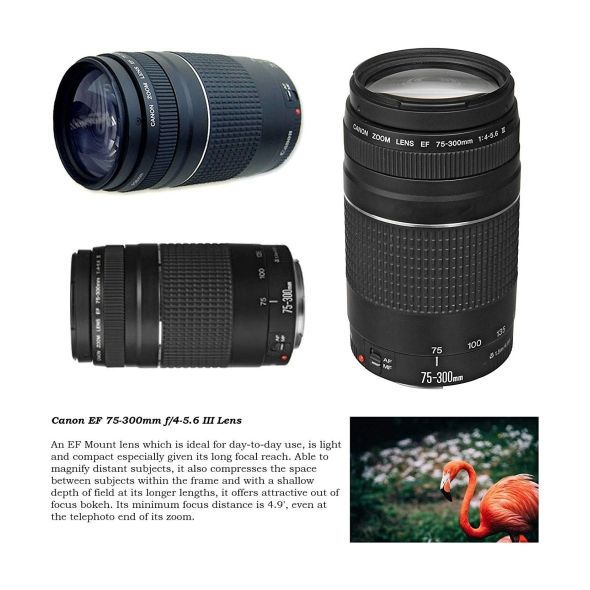 Canon EOS Rebel 800D DSLR Camera with 18-55mm Lens Bundle 12 - US Version w Seller Warranty