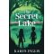 The Secret Lake A children's mystery adventure Paperback – Aug. 4 2011